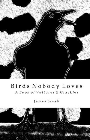 Birds No One Loves: A Book of Vultures & Grackles by James Brush