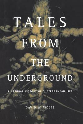 Tales from the Underground: A Natural History of Subterranean Life by David Wolfe
