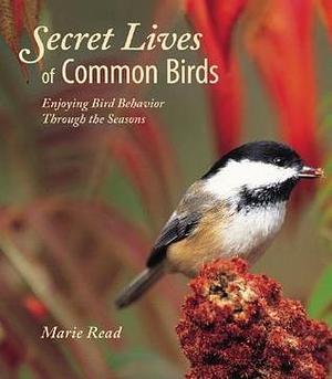 Secret Lives Of Common Birds: Enjoying Bird Behavior Through the Seasons by Marie Read, Marie Read