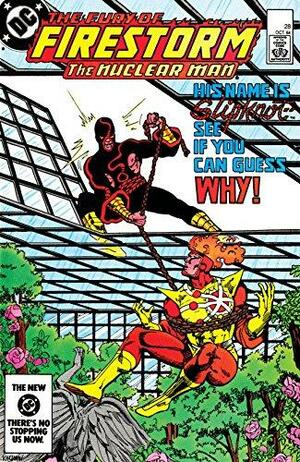 The Fury of Firestorm (1982-) #28 by Joey Cavalieri, Gerry Conway