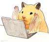 uni2211's profile picture