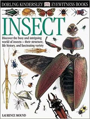 Insect by Colin Keates