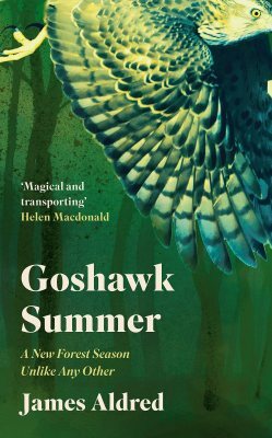 Goshawk Summer: A New Forest Season Unlike Any Other by James Aldred
