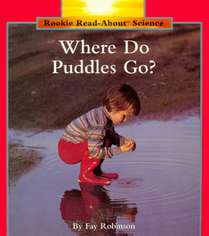 Where Do Puddles Go? by Fay Robinson