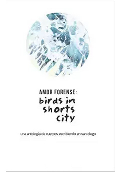 Amor Forense: Birds in Shorts City by Sarah Ciston, Brett Zehner, Kendall Grady, Hanna Tawater, Marco Antonio Huerta, Estela Mendoza, Gidi Loza, Paola Capo-Garcia, Keith McCleary, Tina Hyland, Pepe Rojo, Jose Antonio Villeran, Aurelio Meza, April Paletta, Ethan Sparks