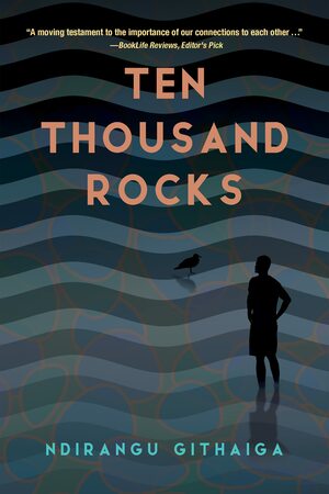 Ten Thousand Rocks  by Ndirangu Githaiga