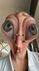 weatherton's profile picture