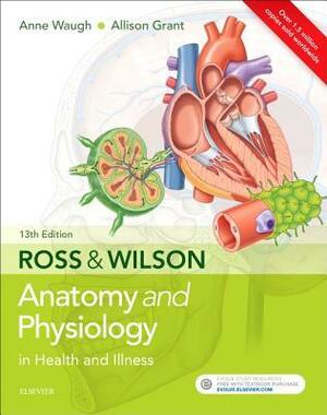 Ross & Wilson Anatomy and Physiology in Health and Illness by Allison Grant, Anne Waugh
