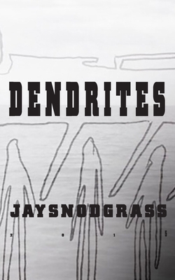 Dendrites by Jay Snodgrass