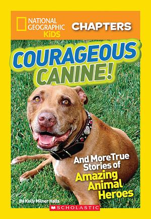 Courageous Canine: And More True Stories of Amazing Animal Heroes by Kelly Milner Halls, National Geographic Kids