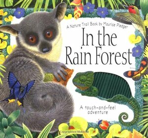 In the Rain Forest by A.J. Wood