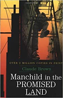 Man Child in the Promised Land by Claude Brown