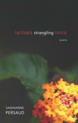Lantana Strangling Ixora by Sasenarine Persaud