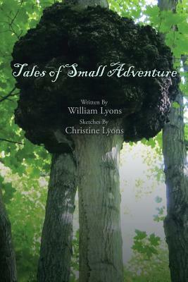 Tales of Small Adventure by William Lyons