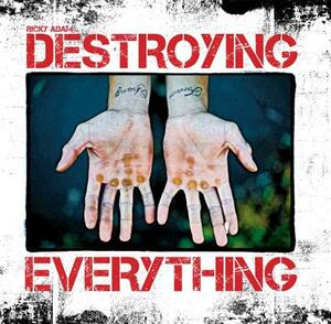 Destroying Everything: Seems Like the Only Option by Ricky Adam