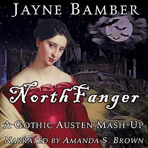 NorthFanger: A Pride and Prejudice Variation by Jayne Bamber