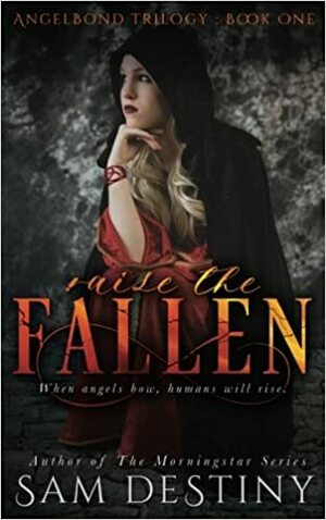 Raise The Fallen by Sam Destiny