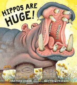 Hippos Are Huge! by Matthew Trueman, Jonathan London