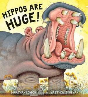 Hippos Are Huge! by Jonathan London, Matthew Trueman