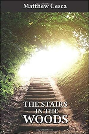 The Stairs in the Woods by Matthew Cesca