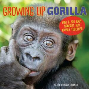 Growing Up Gorilla by Clare Hodgson Meeker