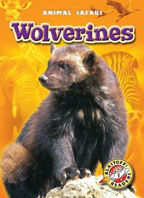 Wolverines by Megan Borgert-Spaniol