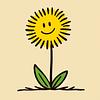 hieracium's profile picture