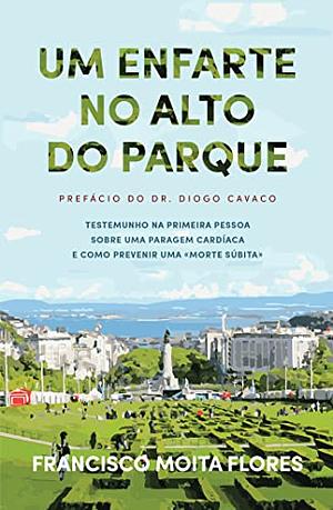 Um Enfarte no Alto do Parque by Francisco Moita Flores