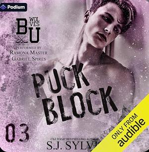 Puck Block by S.J. Sylvis