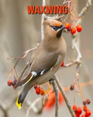 Waxwing: Learn About Waxwing and Enjoy Colorful Pictures by Matilda Leo