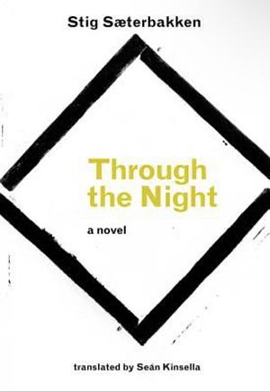 Through the Night by Stig Sæterbakken