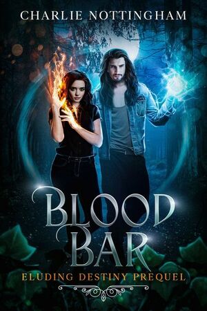 Blood Bar by Charlie Nottingham