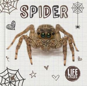 Spider by Holly Duhig