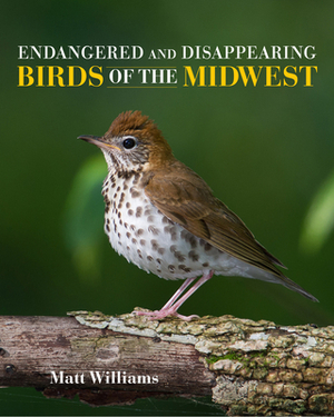 Endangered and Disappearing Birds of the Midwest by Matt Williams