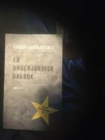 En underjordisk dagbok by Fyodor Dostoevsky