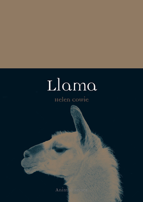 Llama by Helen Cowie