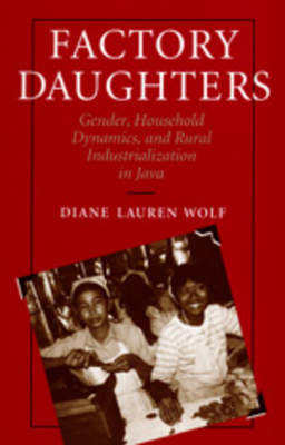 Factory Daughters: Gender, Household Dynamics, and Rural Industrialization in Java by Diane L. Wolf