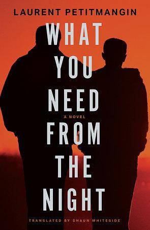 What You Need from the Night: A Novel by Laurent Petitmangin