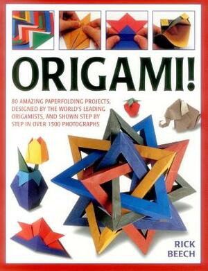 Origami!: 80 Amazing Paperfolding Projects, Designed by the World's Leading Origamists, and Shown Step by Step in Over 1500 Phot by Rick Beech