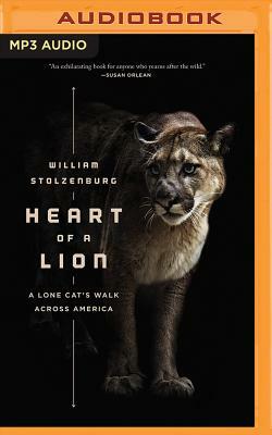 Heart of a Lion: A Lone Cat's Walk Across America by William Stolzenburg