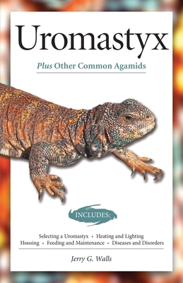 Uromastyx (Advanced Vivarium Systems) by Philippe De Vosjoil