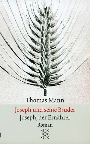 Joseph the Provider by Thomas Mann