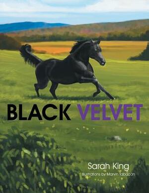 Black Velvet by Sarah King