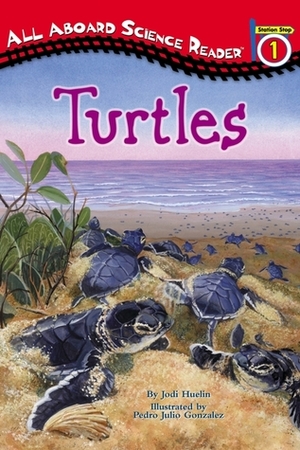 Turtles by Jodi Huelin, Pedro Julio Gonzalez