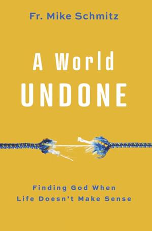 A World Undone: Finding God When Life Doesn't Make Sense by Michael Schmitz