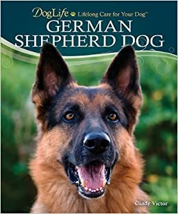 German Shepherd Dog by Cindy Victor