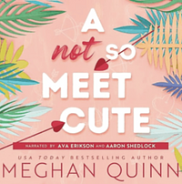 A Not So Meet Cute by Meghan Quinn