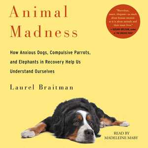 Animal Madness: How Anxious Dogs, Compulsive Parrots, Gorillas on Drugs, and Elephants in Recovery Help Us Understand Ourselves by Laurel Braitman