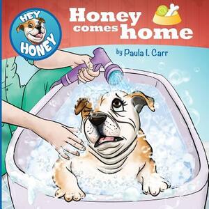 Hey Honey: Honey Comes home by Paula I. Carr