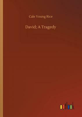 David; A Tragedy by Cale Young Rice